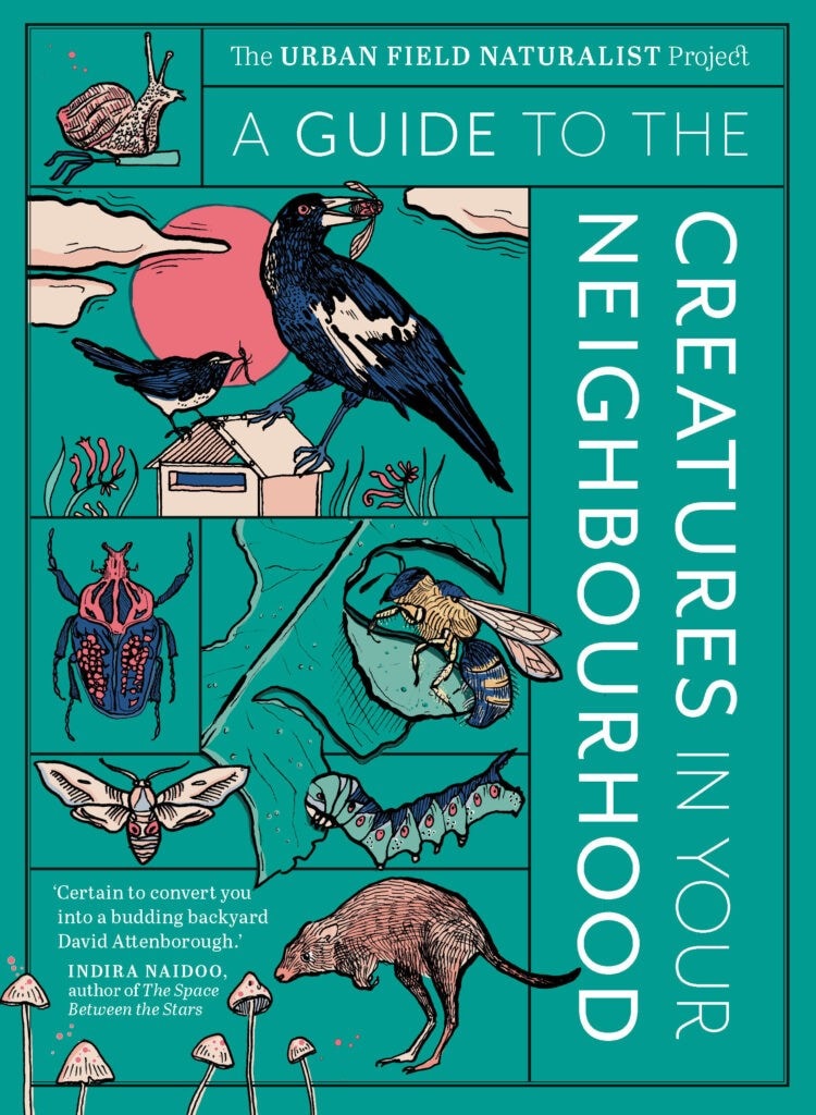 A guide to the creatures in your neighbourhood cover