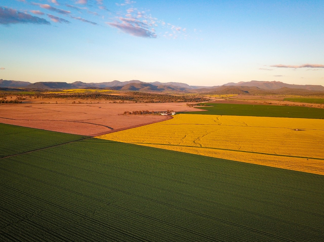 High flying drone image of a wheat field