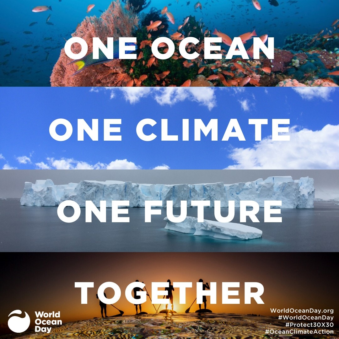 World Ocean Week 2021 logo