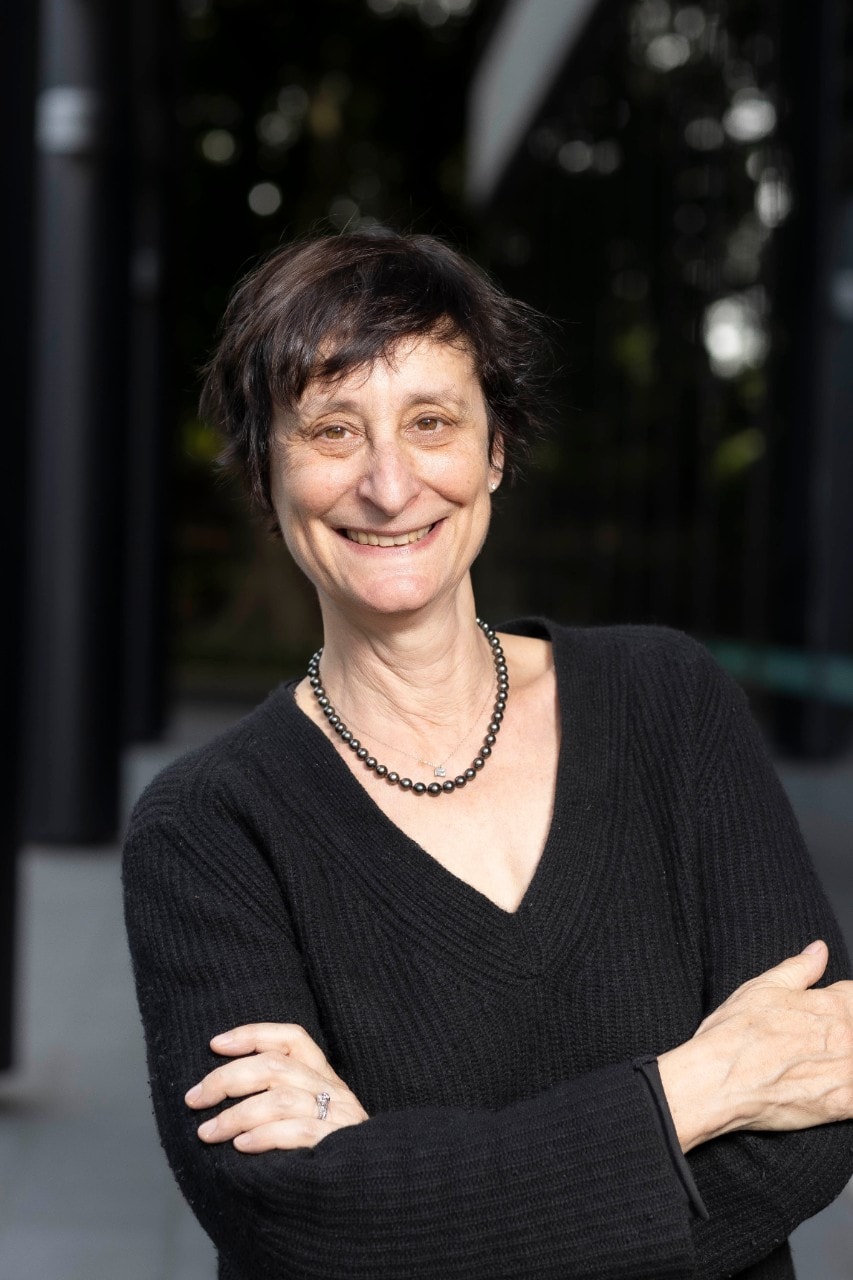 Professor Deborah Ascher Barnstone