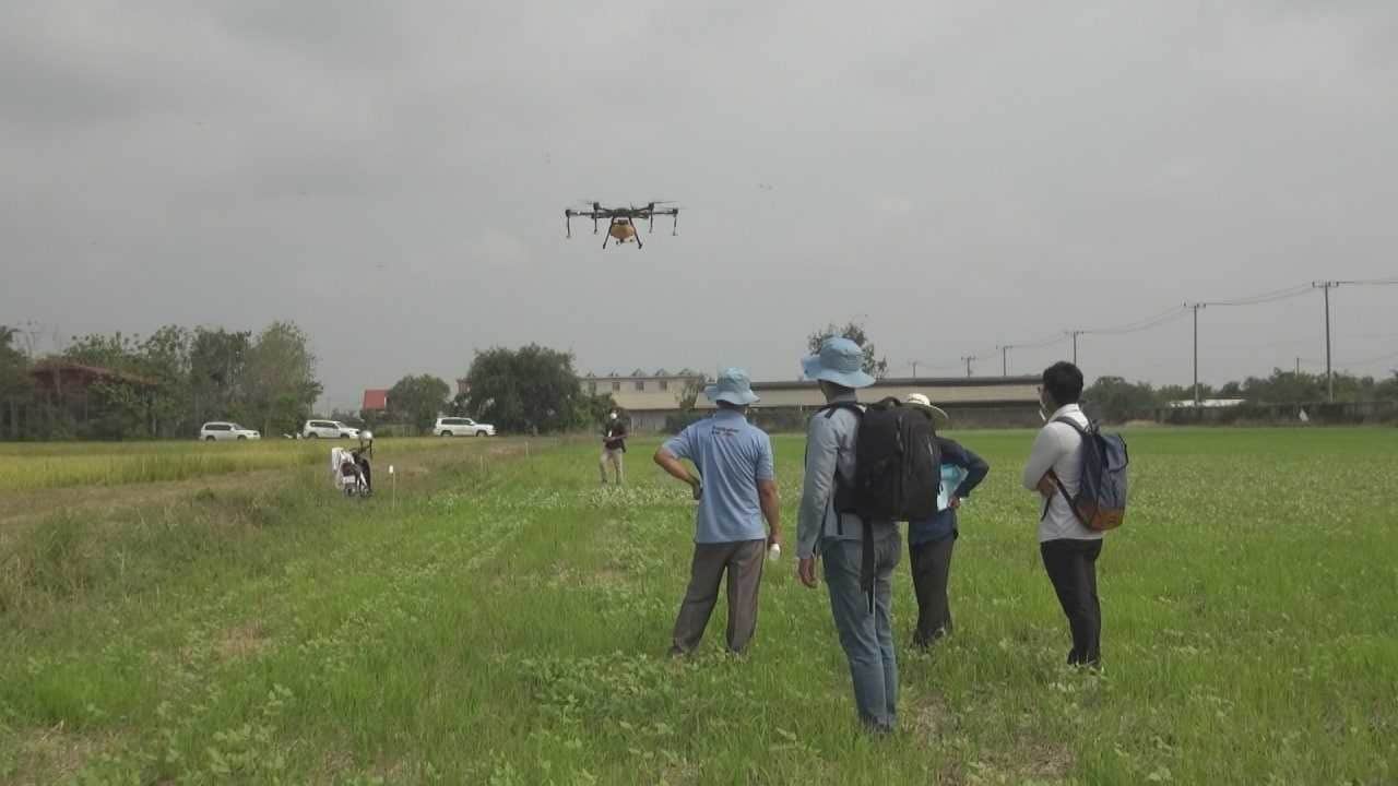 Photo of drone spraying insecticide on agricultural fields in Cambodia