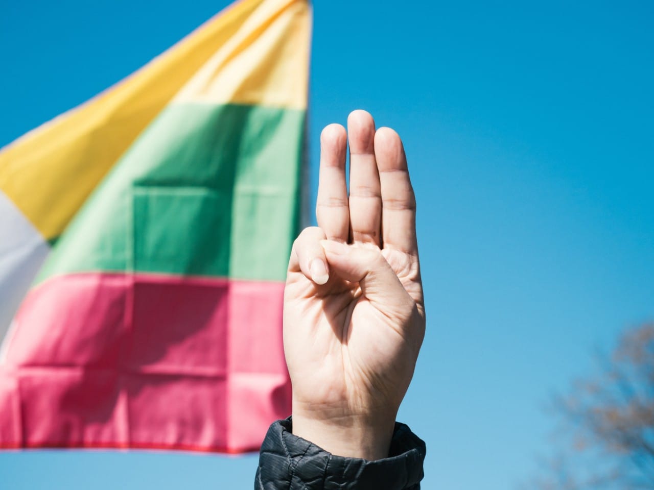 Photograph of three-finger salute in front of Myanmar flag