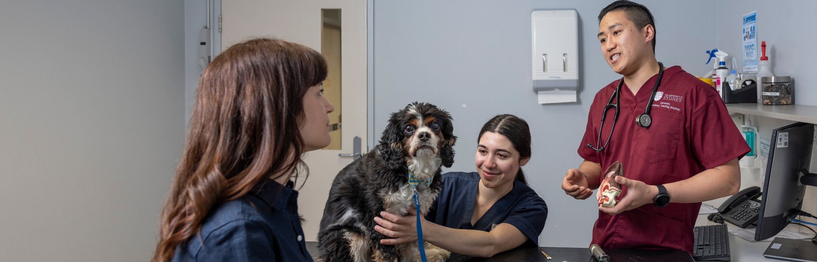 Home University Veterinary Teaching Hospital Sydney