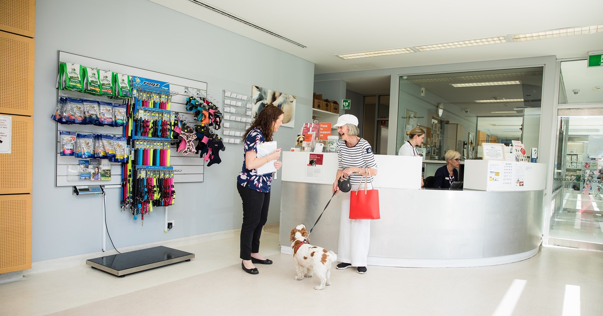 Canine blood bank University Veterinary Teaching Hospital Sydney