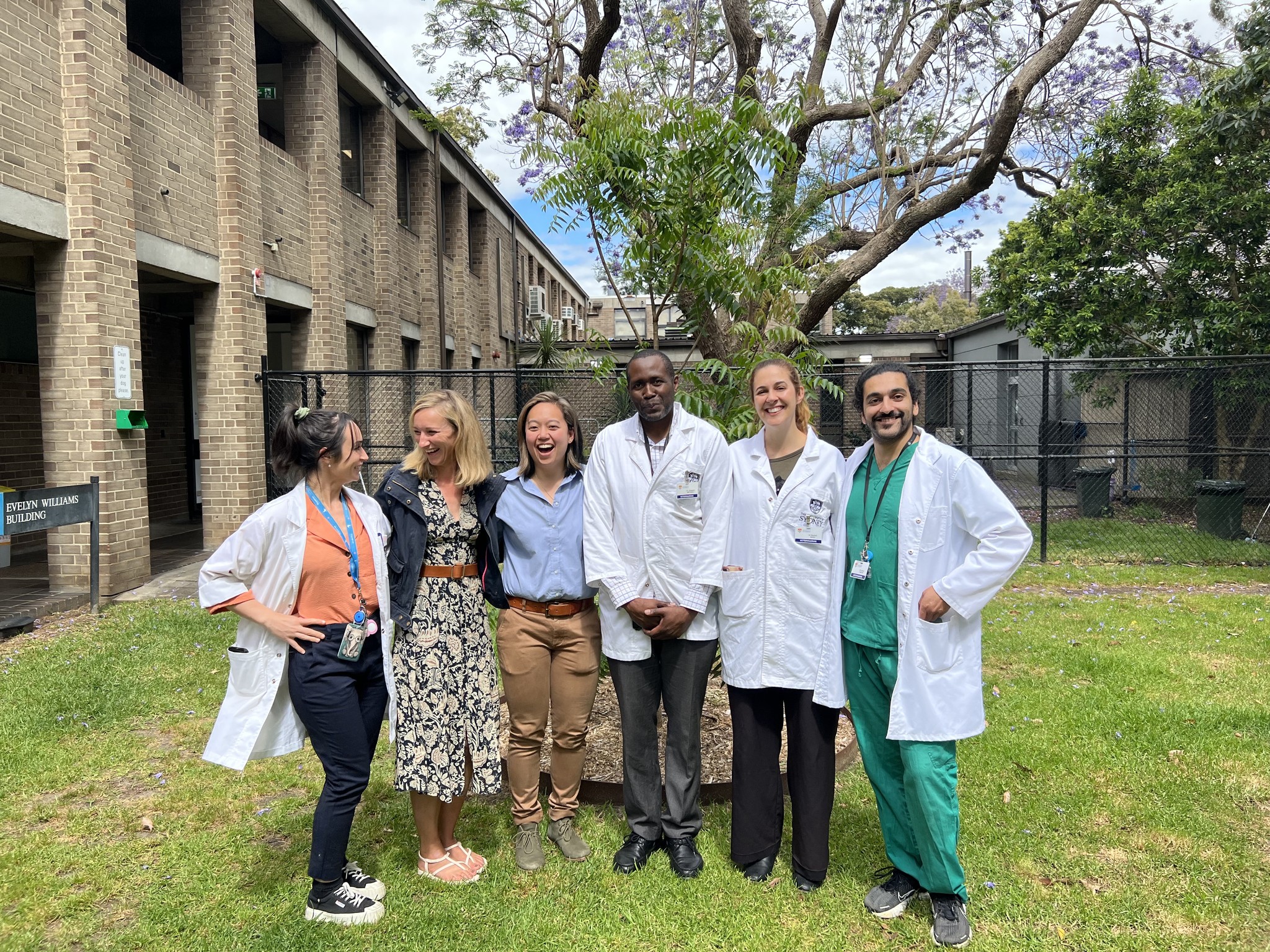 Careers University Veterinary Teaching Hospital Sydney