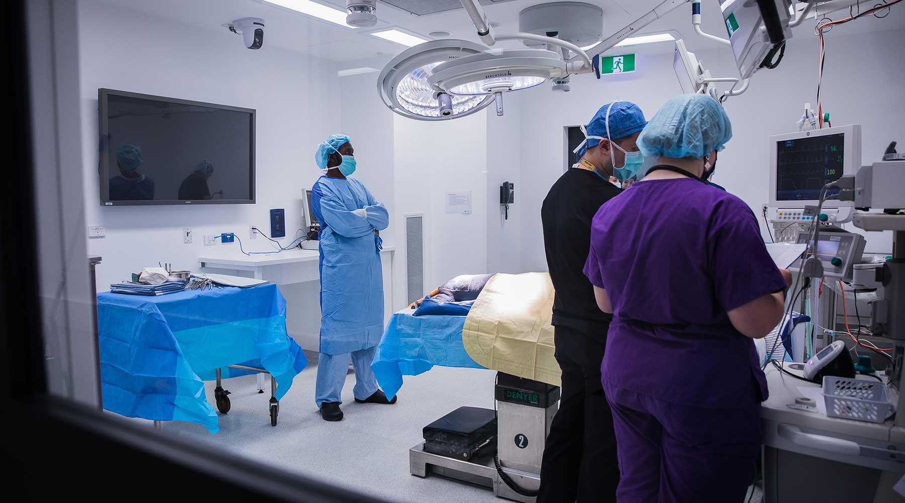 Emergency services University Veterinary Teaching Hospital Sydney