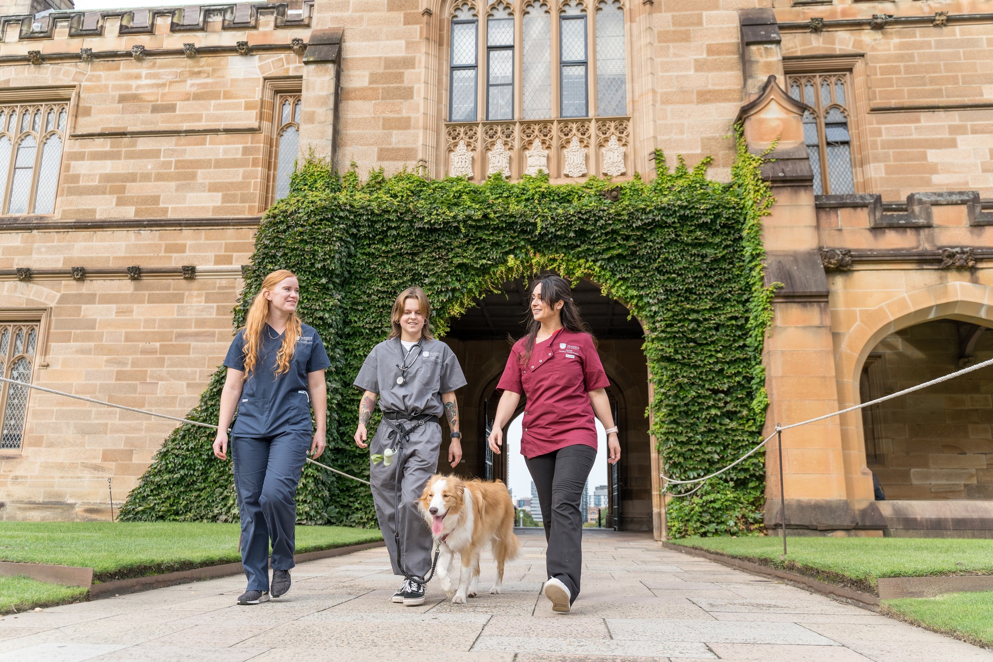 Teaching hospital University Veterinary Teaching Hospital Sydney