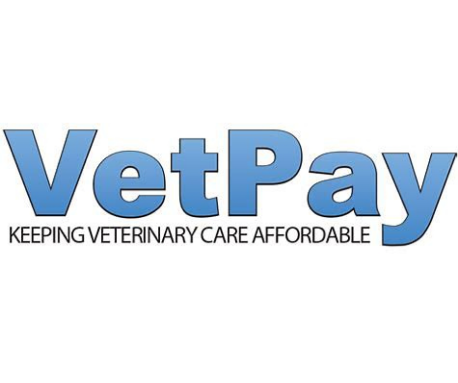 VetPay logo with the tagline 'keeping veterinary care affordable'.