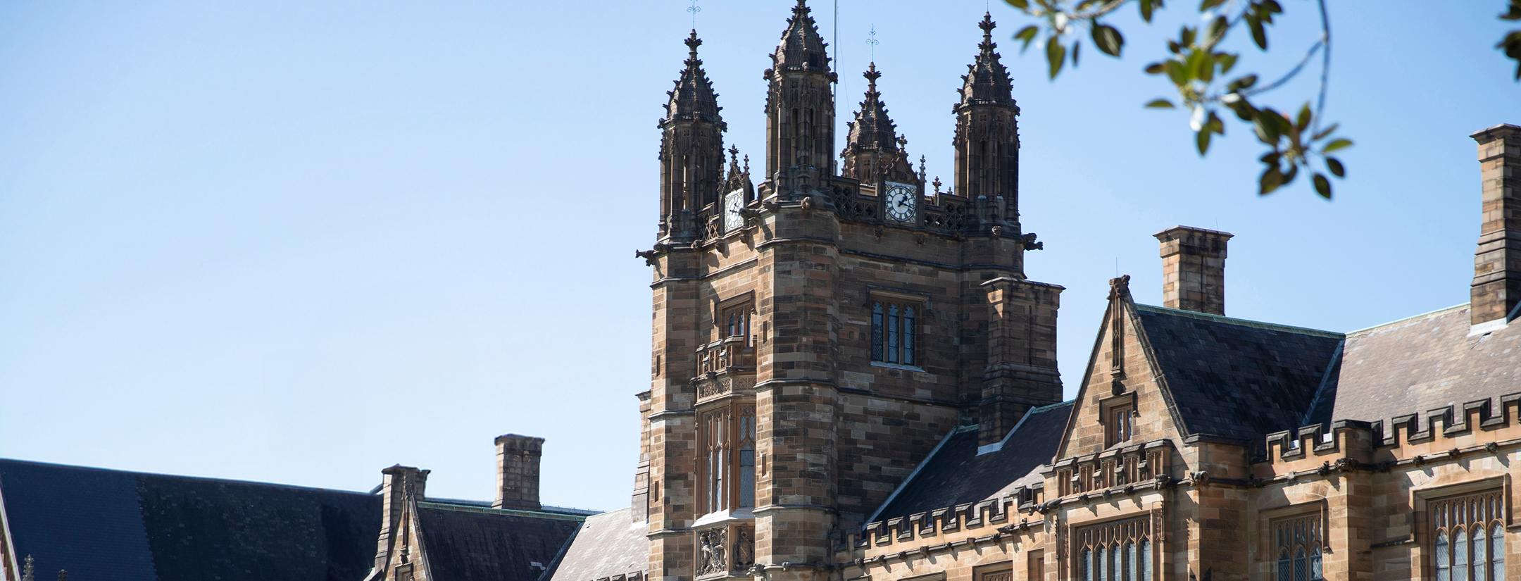 Bachelor of Social Work H2 The Bachelor of Social Work is a four-year professional degree that prepares you to support individuals, families, and communities through practical lear