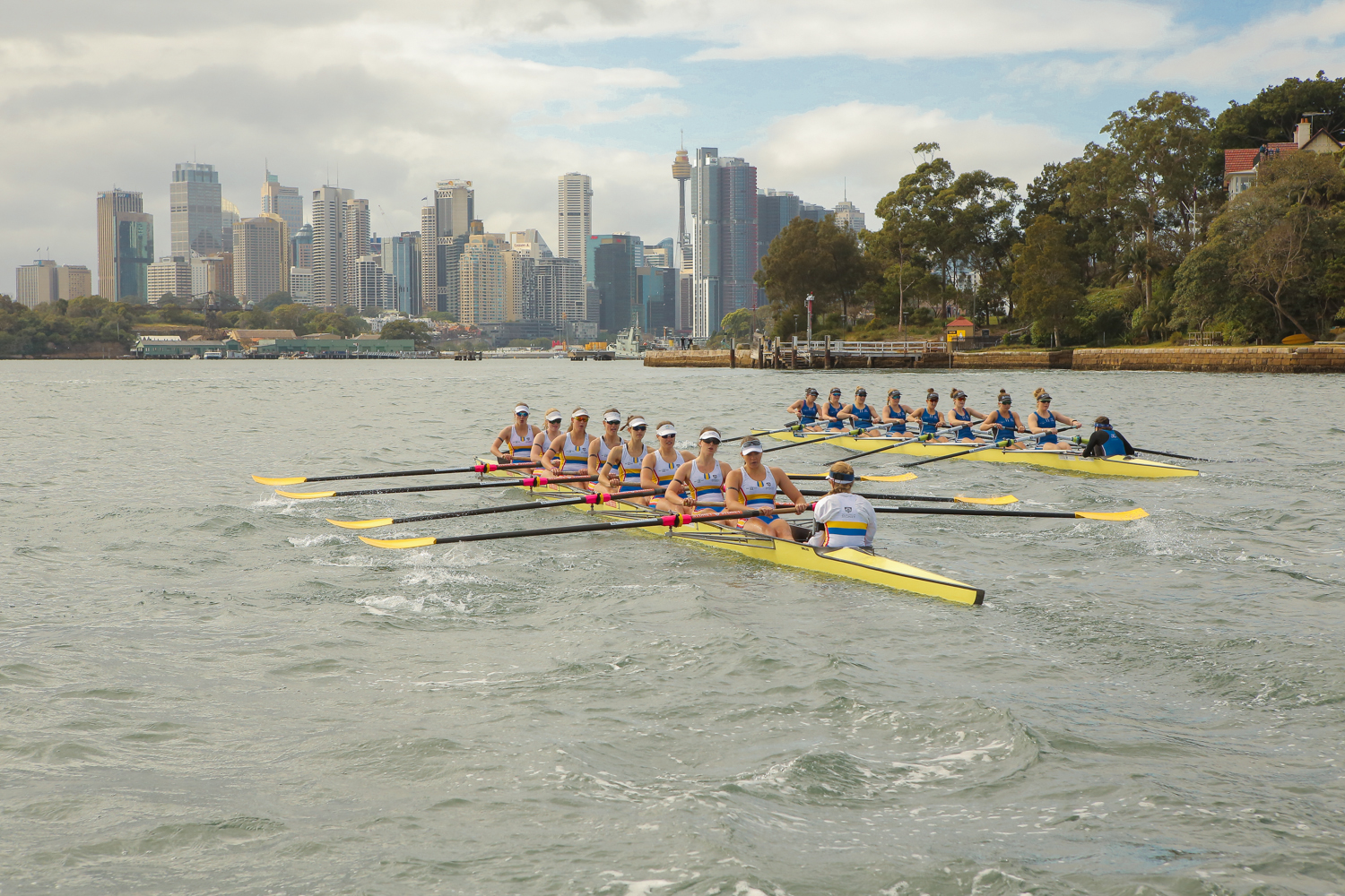 Olympians to celebrate 10 years of the Australian Boat Race - The ...
