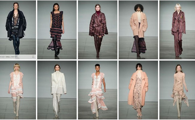 Zimmerman maple collection