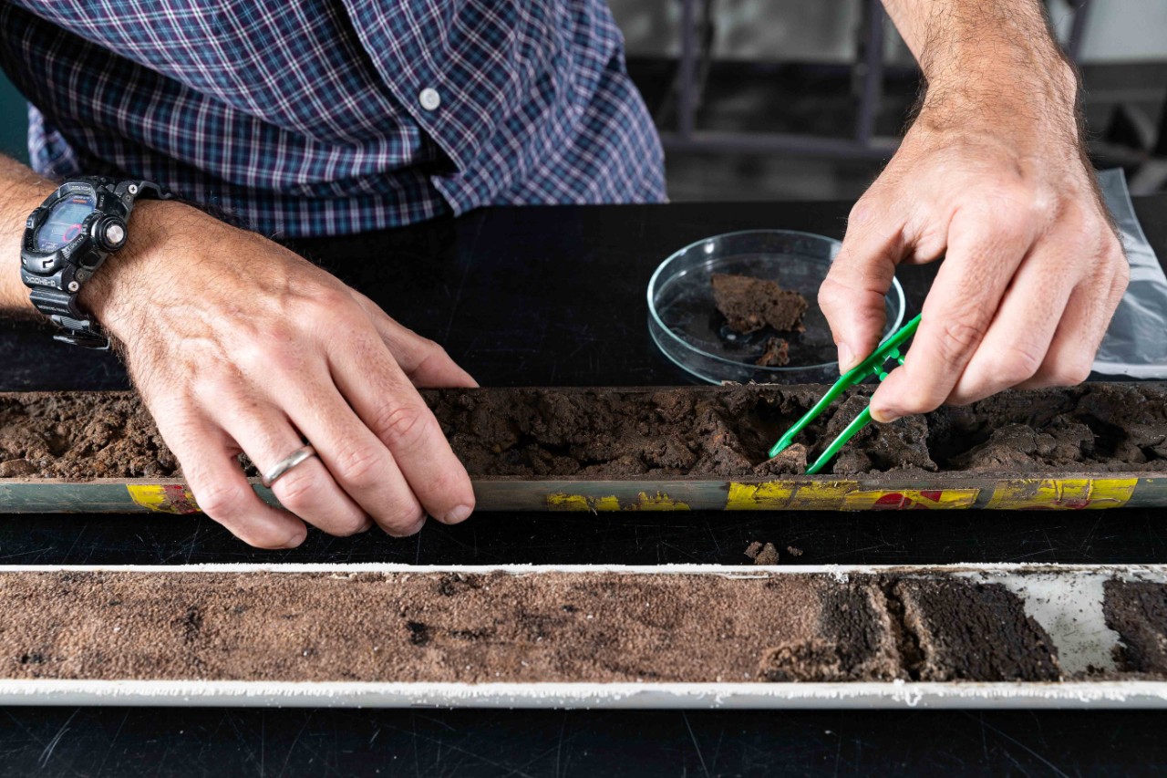 Petri dish of ceramic samples 