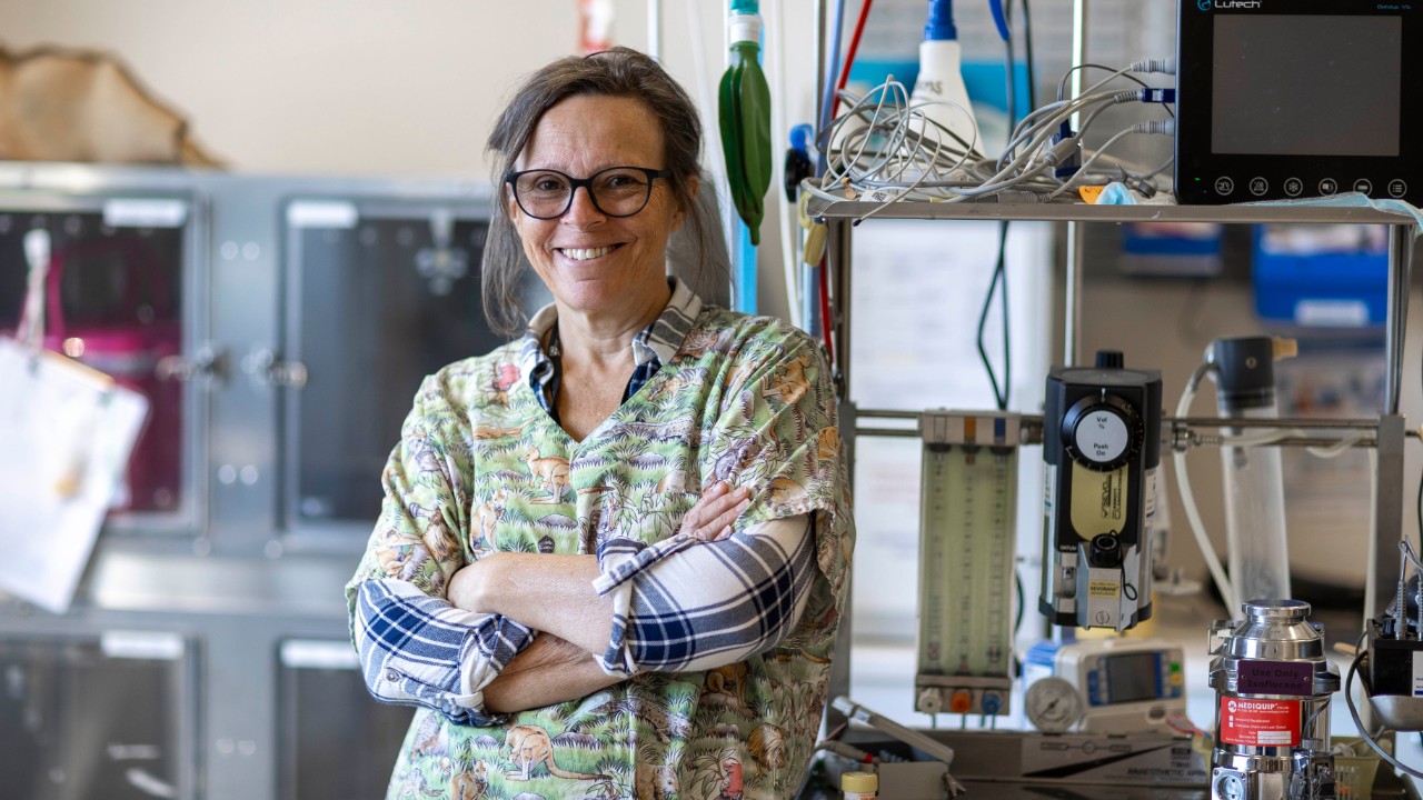 Director of the University of Sydney Wildlife Hospital, Associate Professor Annabelle Olsson.