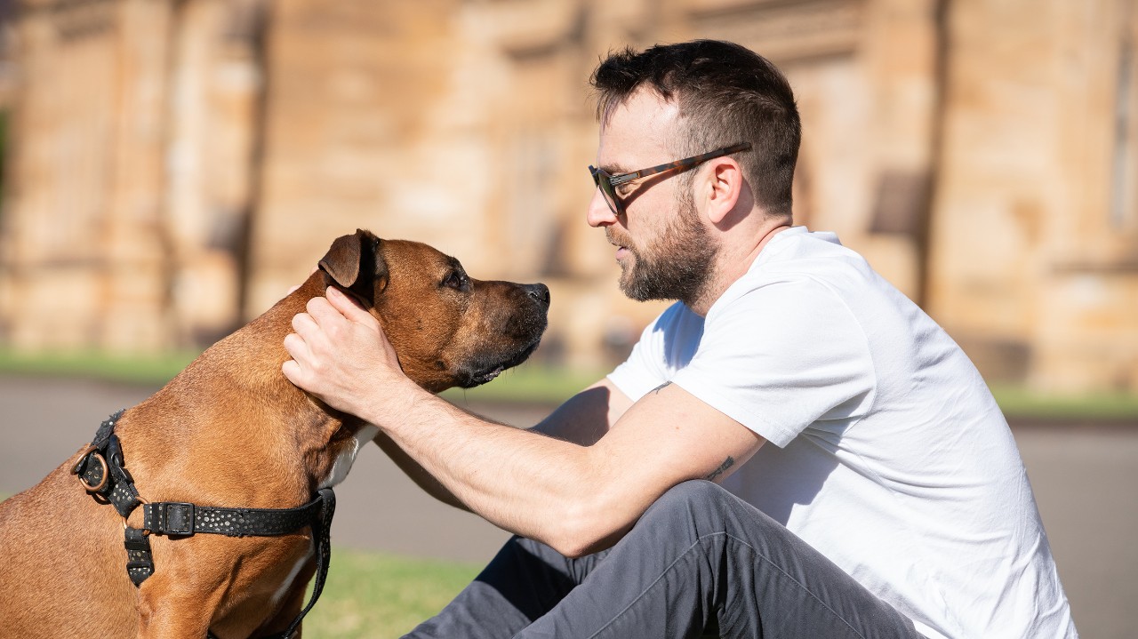 Tom and Barney on grass