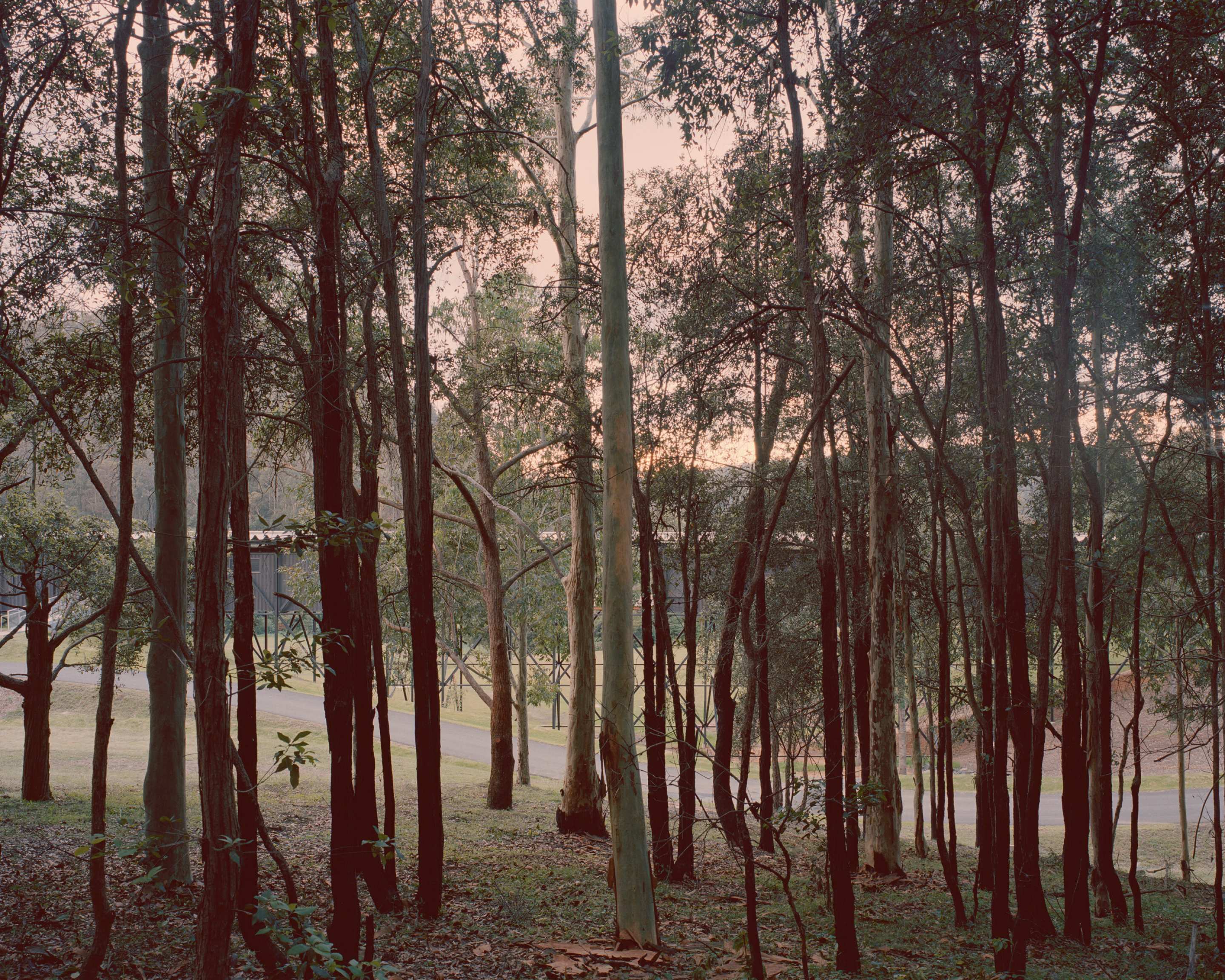 photograph by Rory Gardiner