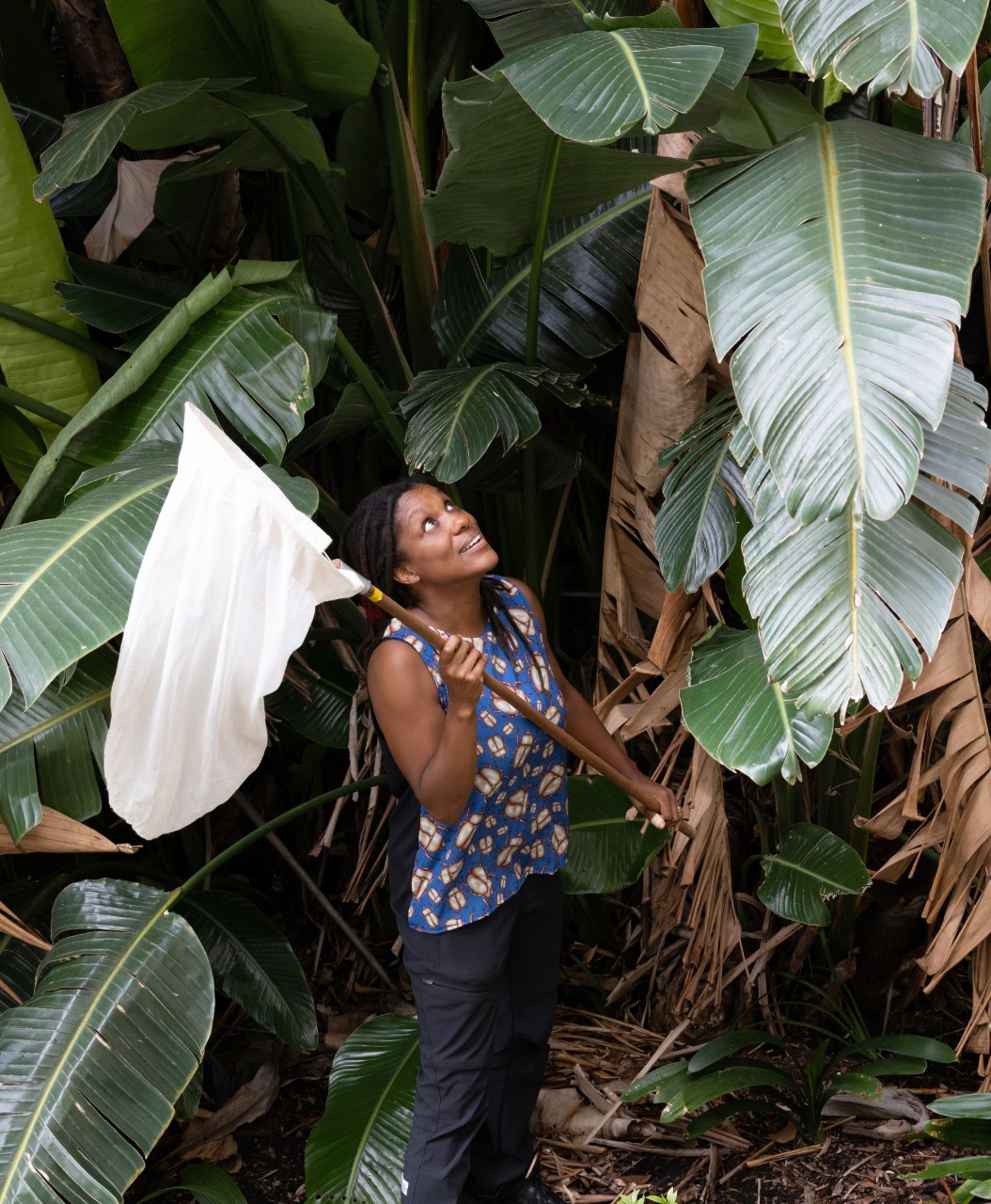 Associate Professor Tanya Latty