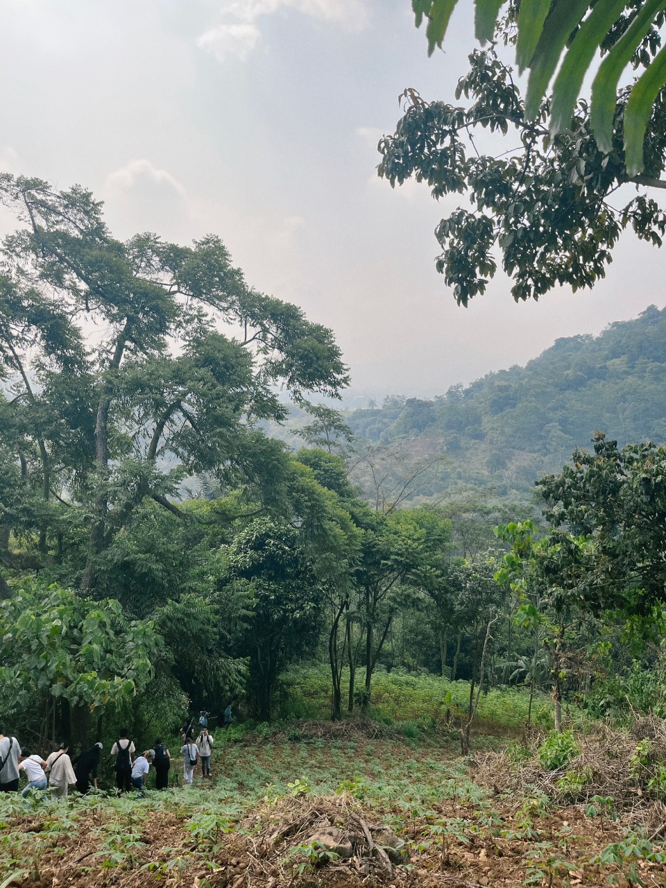 People hiking through a clearing near Bandung, Indonesia