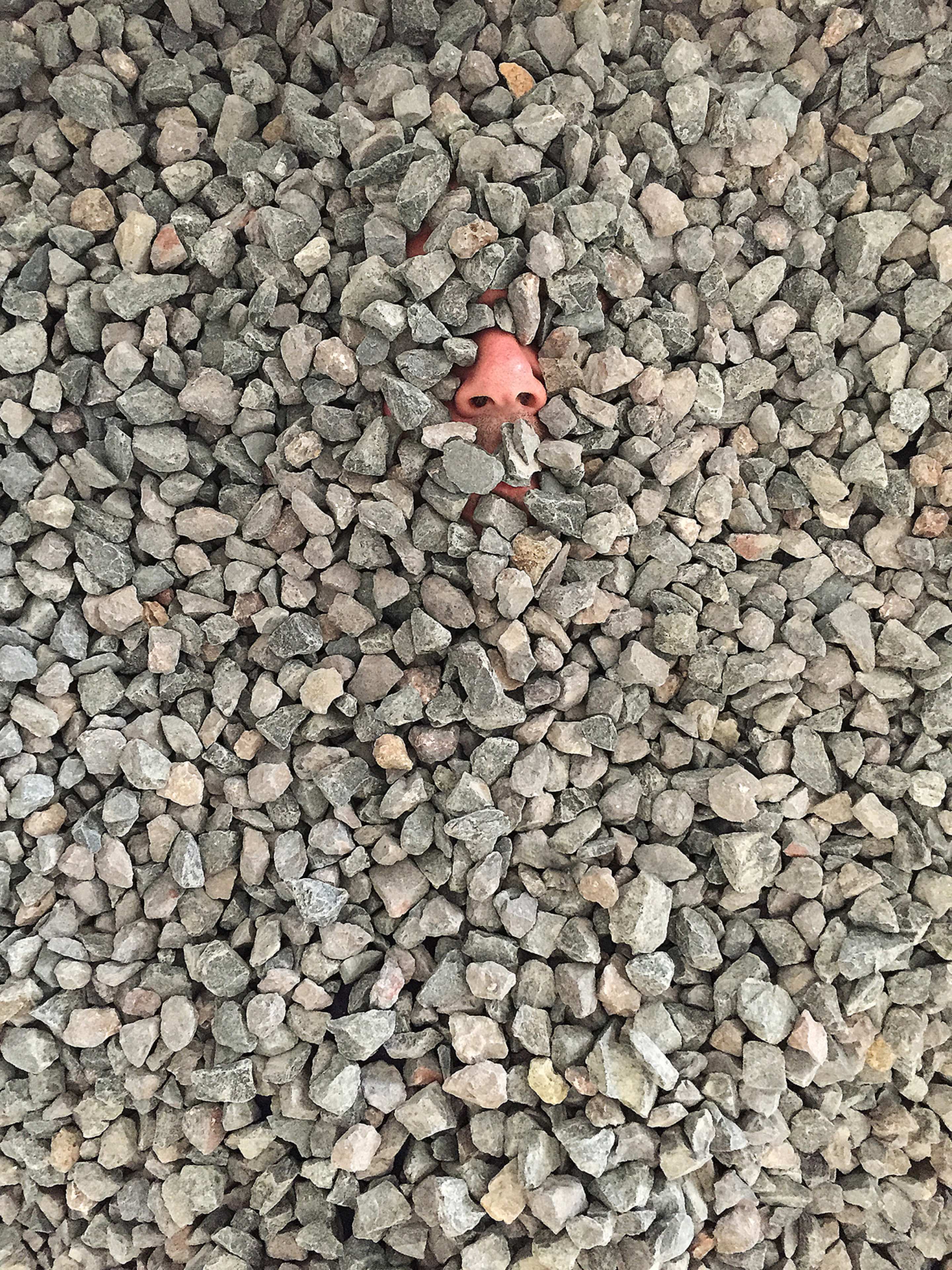 Lucas Davidson's artwork 'Black Cell'. Photograph: Jessica Maurer