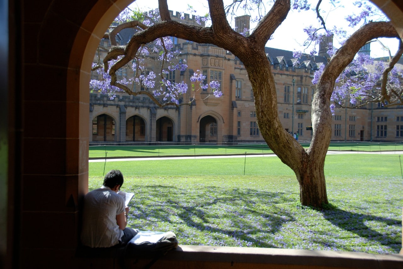 A student studying in the Quadrangle courtyard