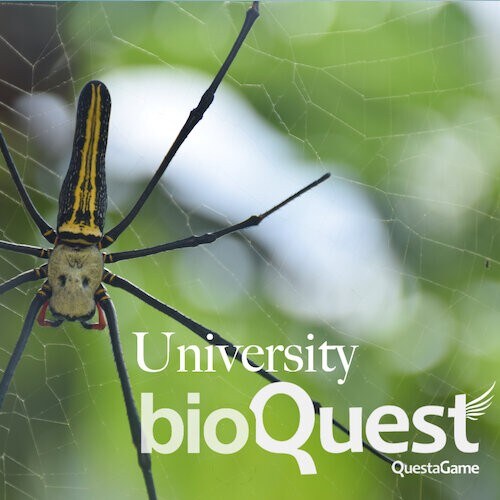 A spider with BioQuest logo on it.