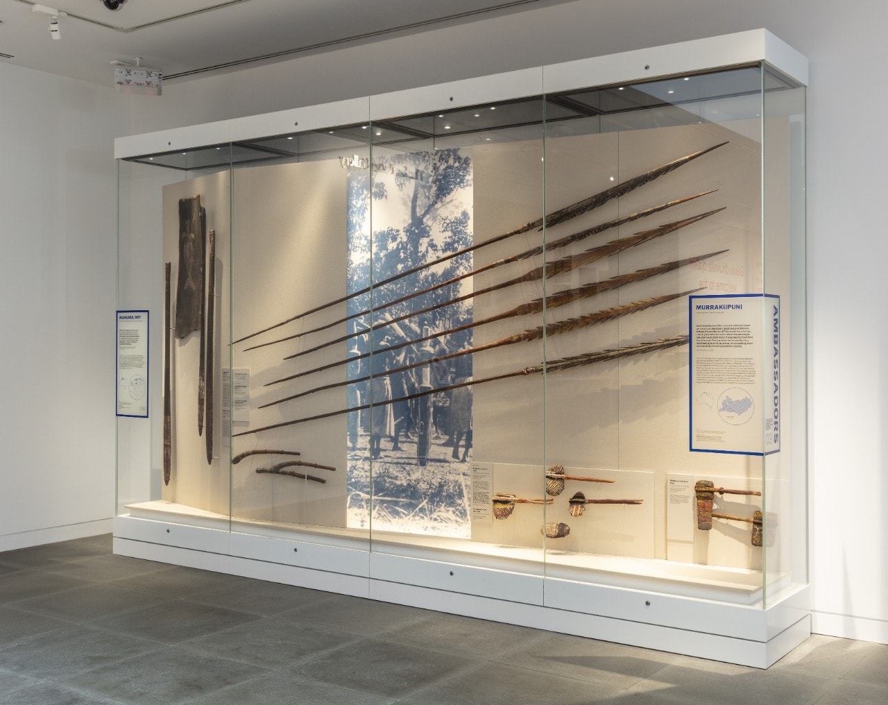 Display case featuring spears, a bark painting and smaller objects