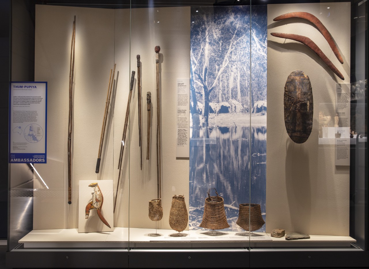 A glass display case with several artefacts inside including woven bags, staffs and a shield. 
