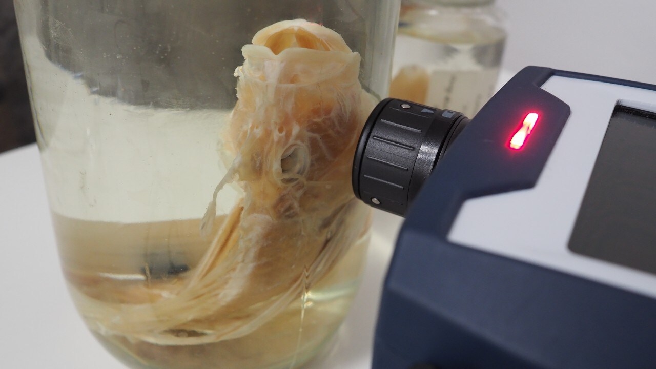 Jar containing a specimen being scanned by scientific device