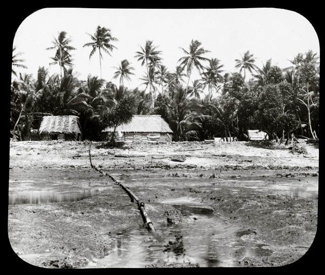 A black and white image of thatched huts surrounded by palm trees taken in Funafuti, Tuvalu