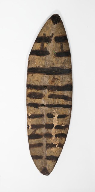 Long narrow shield with markings