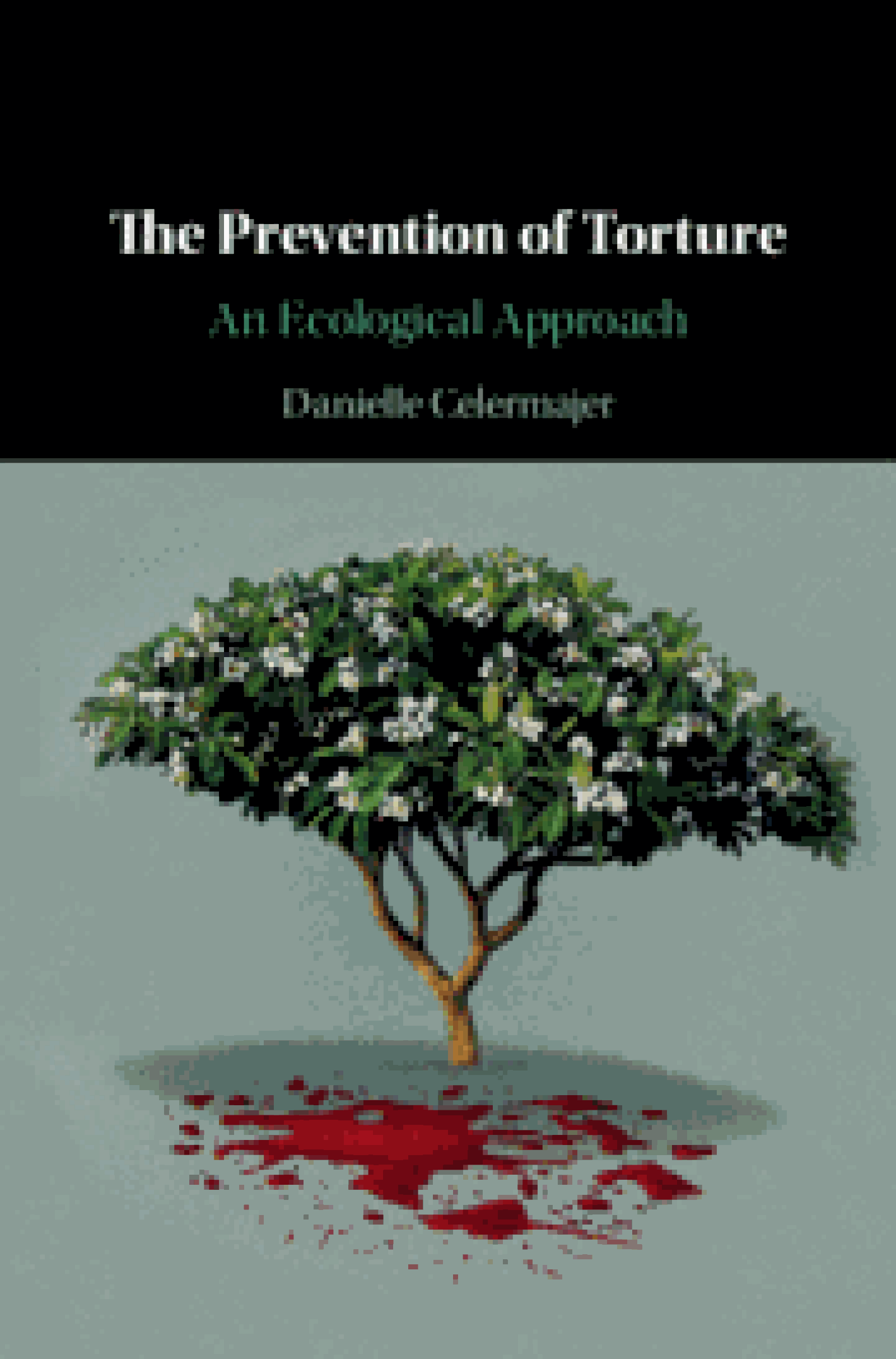 Cover of book: The Prevention of Torture – An Ecological Approach