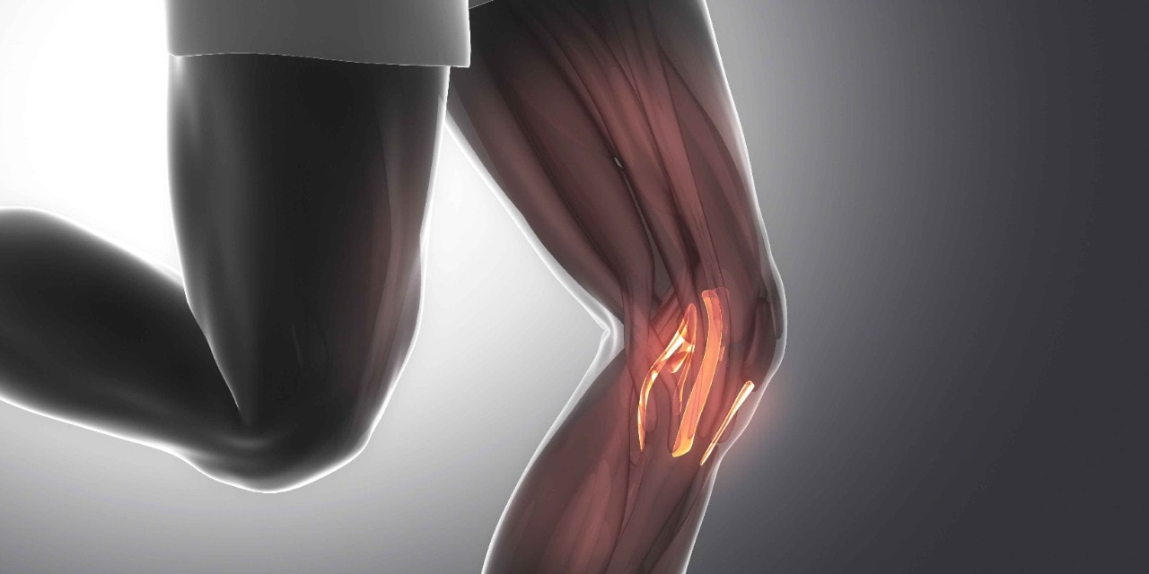 Close-up of knee tendon