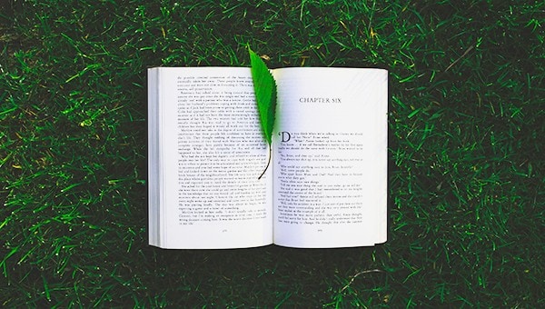 Book sitting open on the grass with leaf as a bookmark