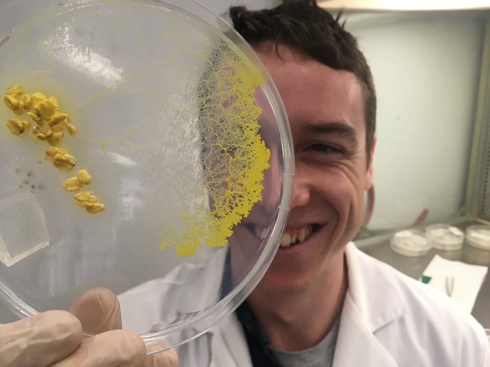 Jules Smith-Ferguson holding an agar plate with slime mould growing on it