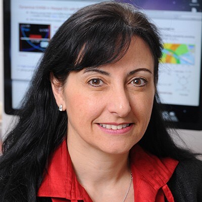 Professor Marcela Carena