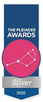 A blue banner with the words Pleiades Silver Award 2020 overlaid with a pink circle in which sits the constellation the award was named for.