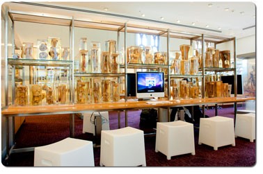J.T. Wilson Museum - Faculty of Medicine and Health