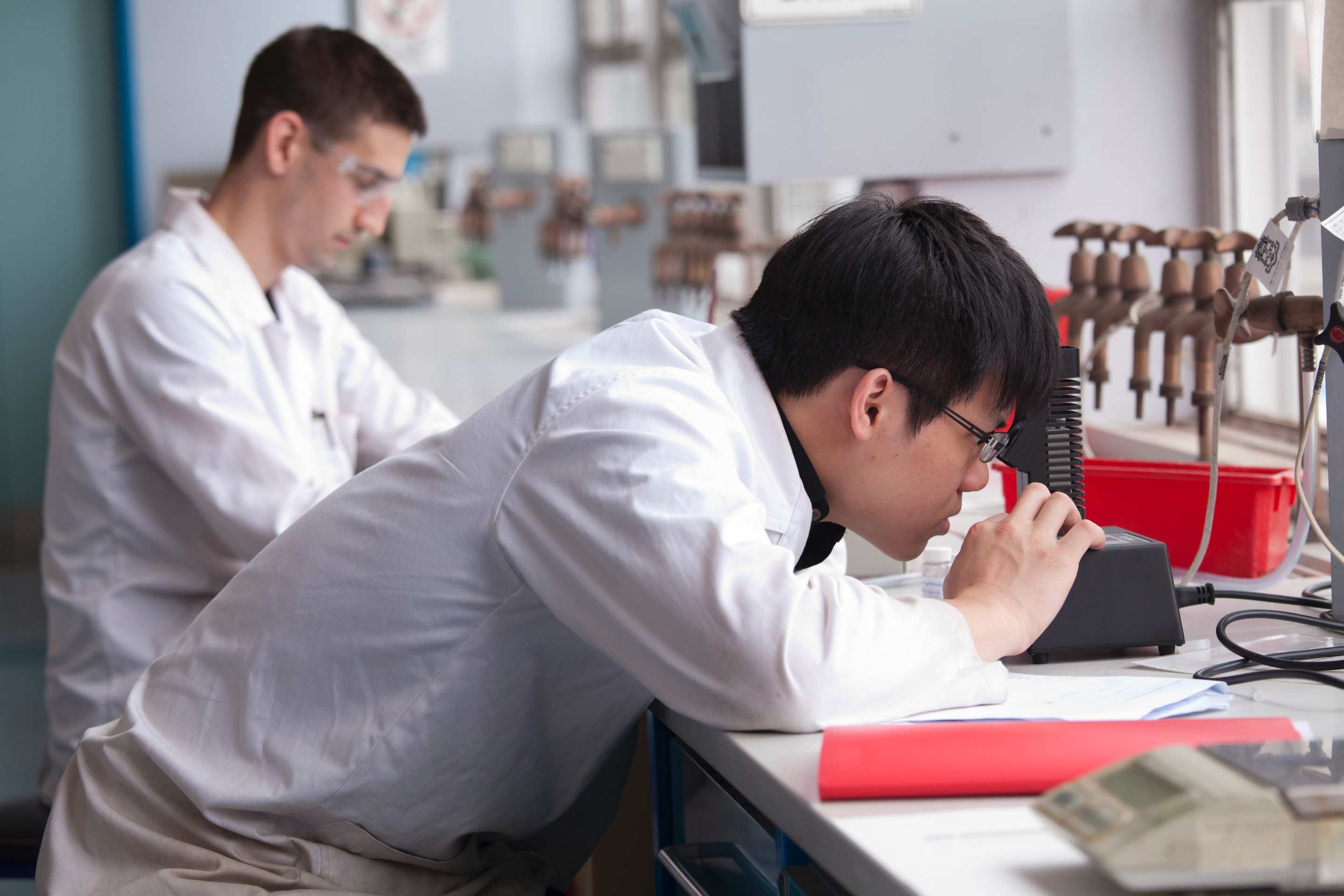 Science students studying