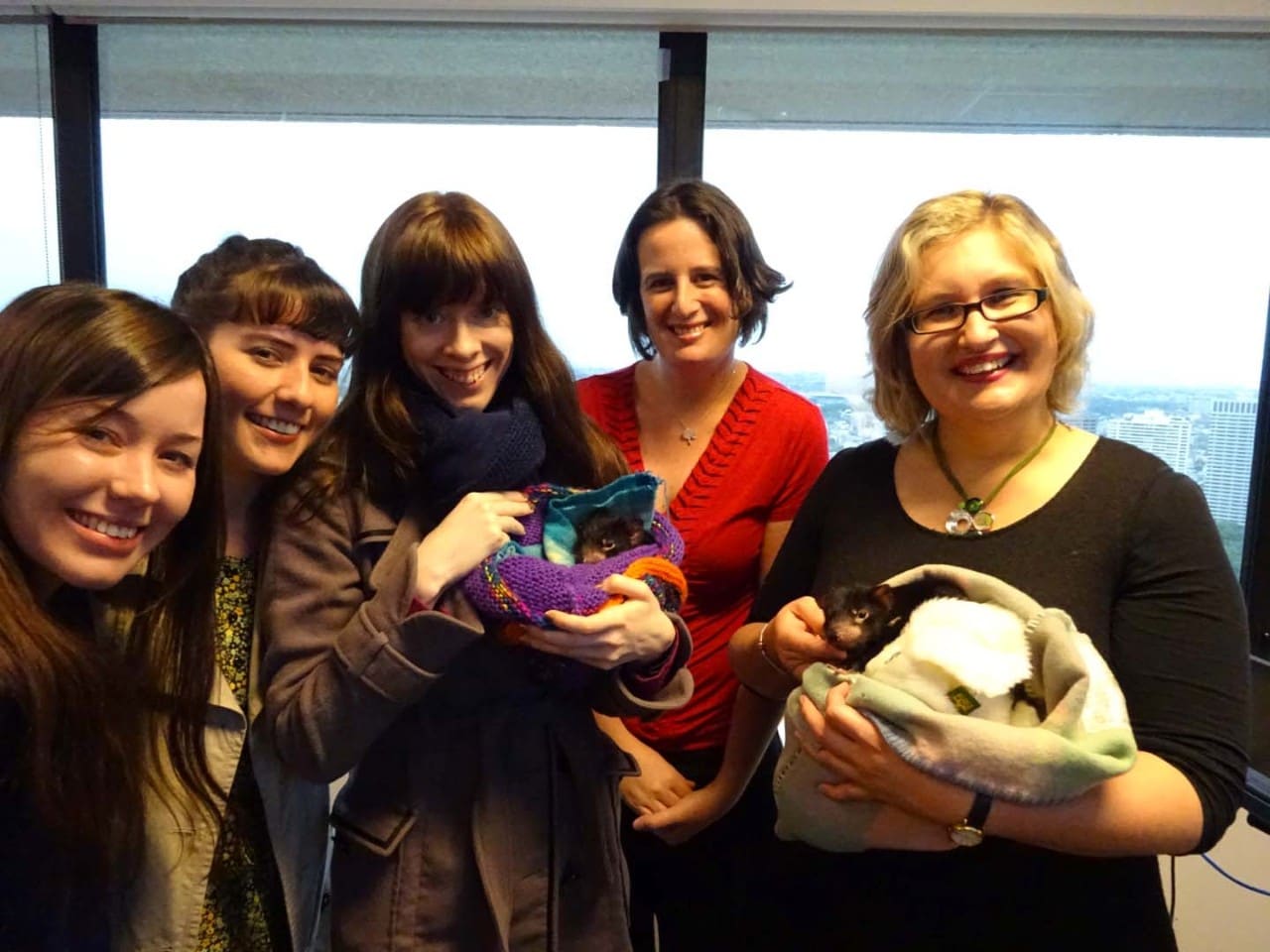 (Left to Right) Rebecca Gooley, Emma Peel, Dr Kat Morris, Dr Catherine Grueber and Prof Kathy Belov meeting devil joeys