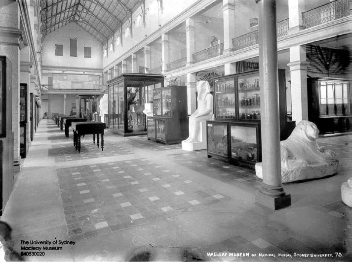 Old black and white image of the Macleay Museum's interior