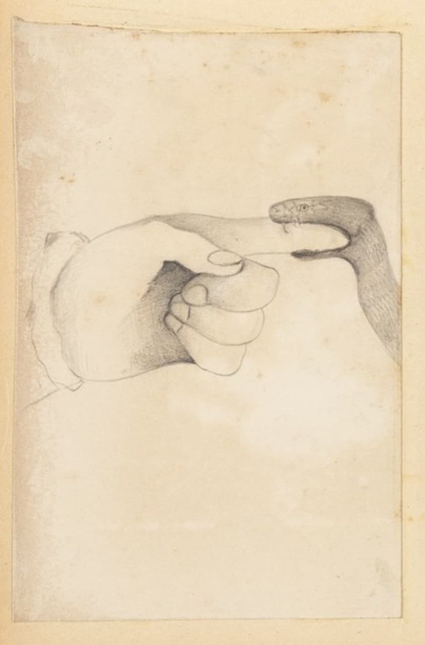 Drawing of snake biting a finger