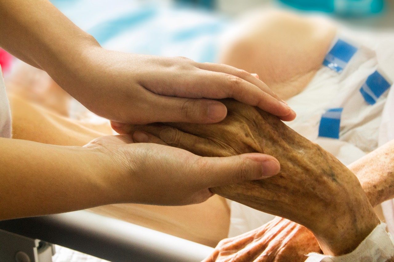 Closeup of nurse or carer holding a patient's hand in hospital
