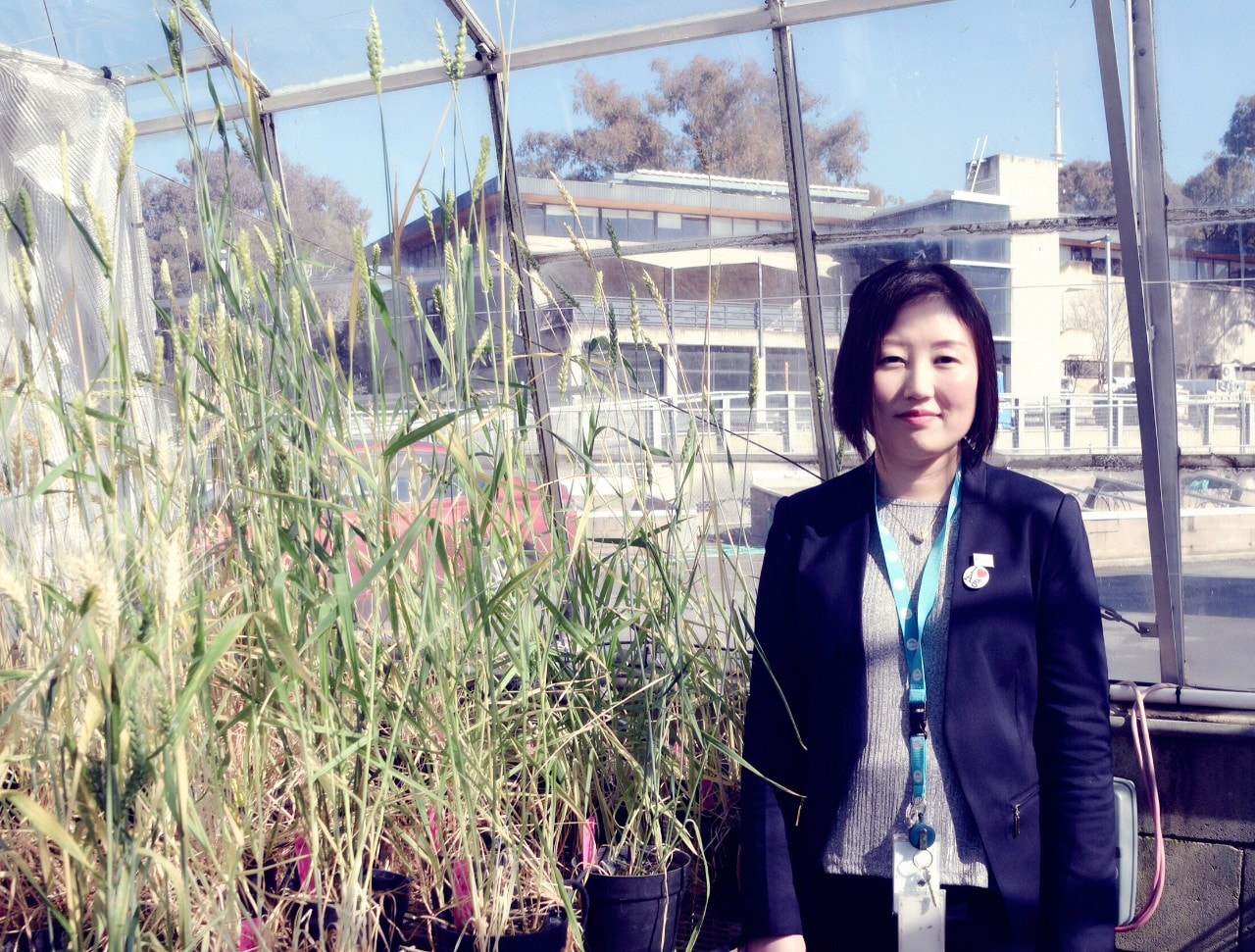 Co-lead author with the University of Sydney Ms Jianping Zhang at CSIRO where she now works.