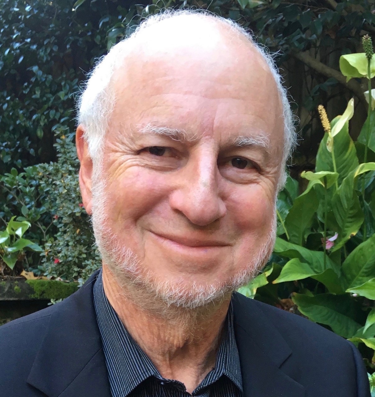 Emeritus Professor Leo Radom.