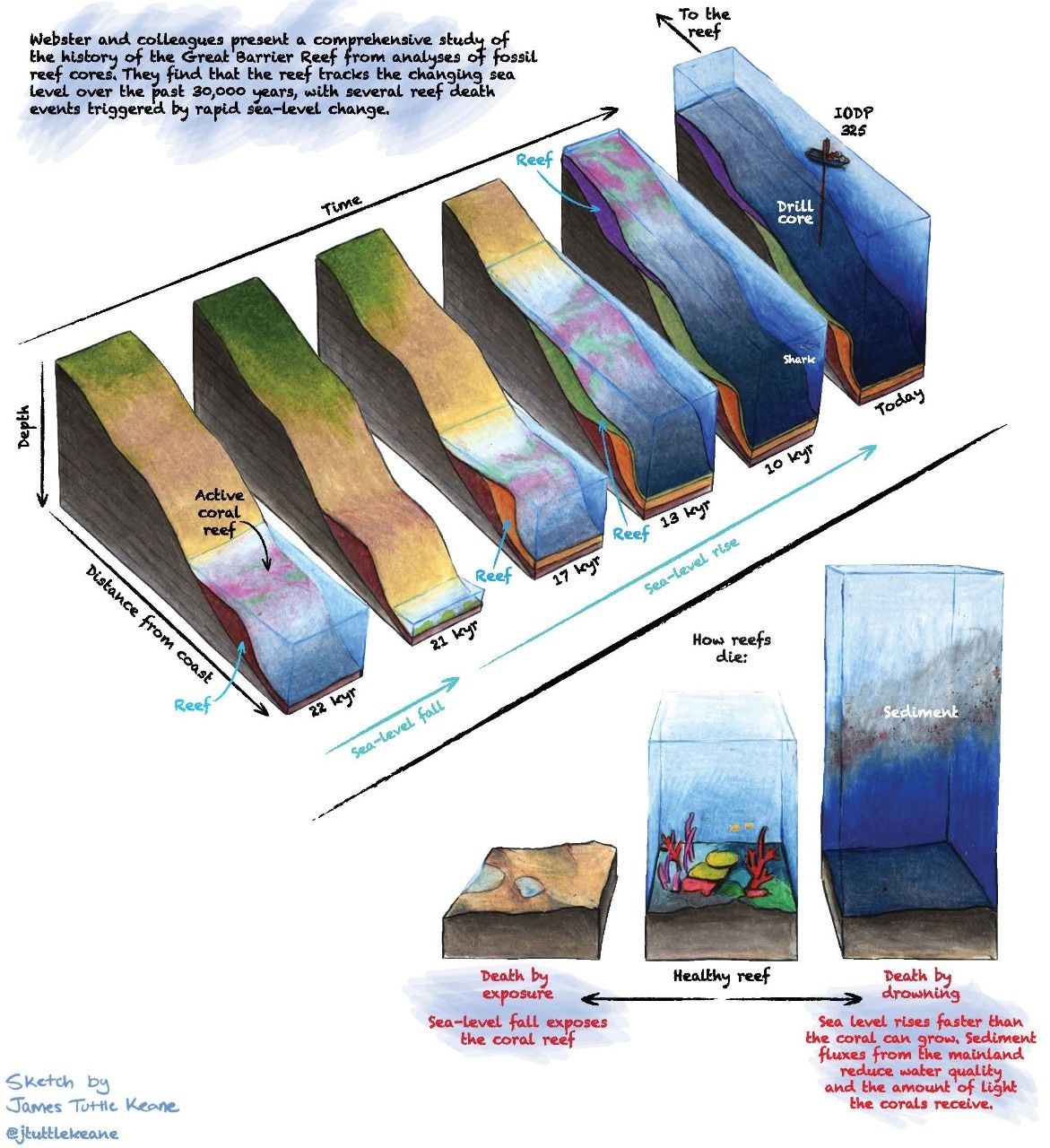 The reef has died five times in the past 30 millennia, largely in response to sea-level change caused by glaciation and deglaciation. A death event about 10,000 years ago looks more associated with high levels of sediment. Graphic by James Tuttle Keane and courtesy of Nature Geoscience.