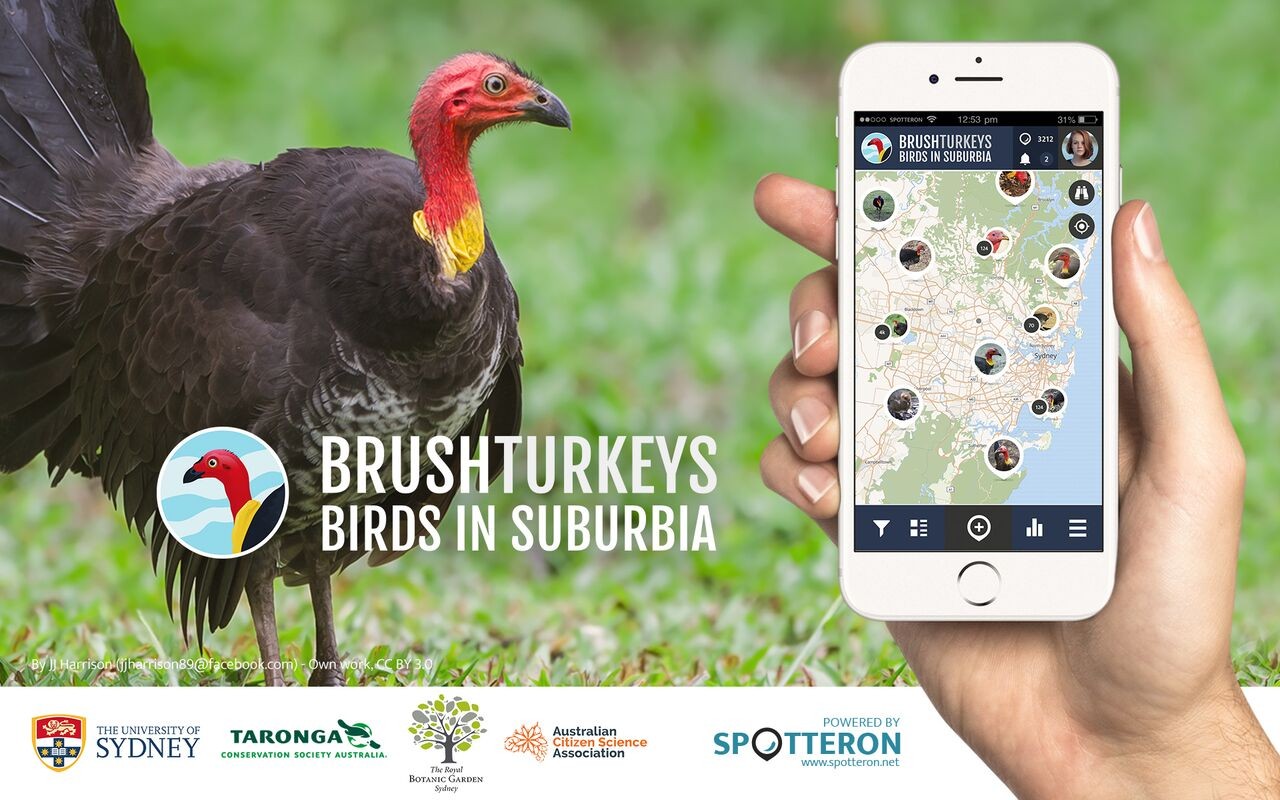 The brush turkey app is available for Android and iOS platforms.