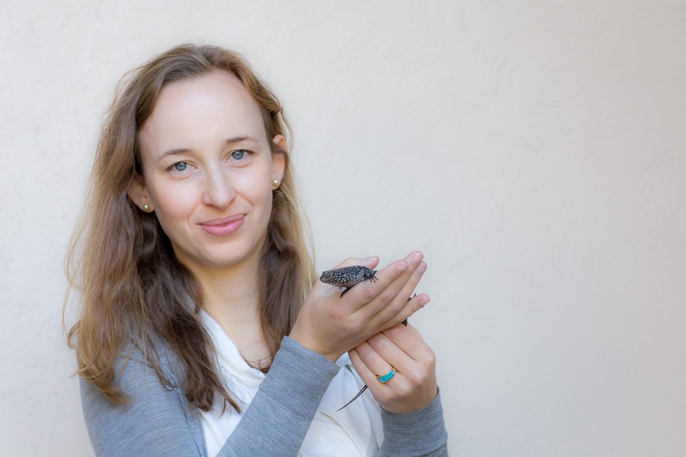 Dr Camilla Whittington holding a different species, the Cunningham's skink. 