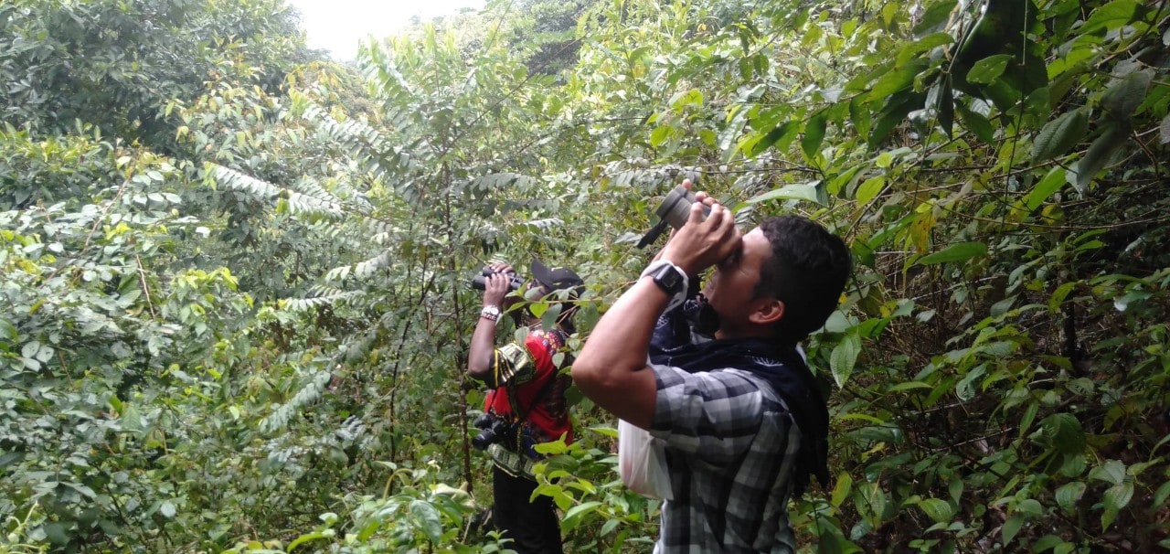 FARC-EP ex-combatants sighting birds in Colombia