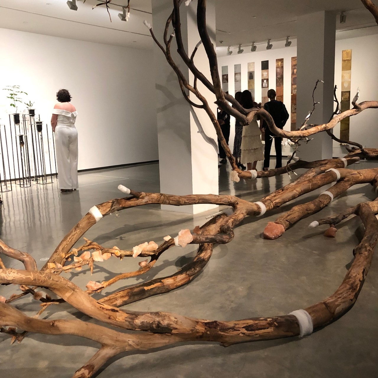 photo of an art work called Heart Shock, it is large dead tree lying on its side in an art gallery
