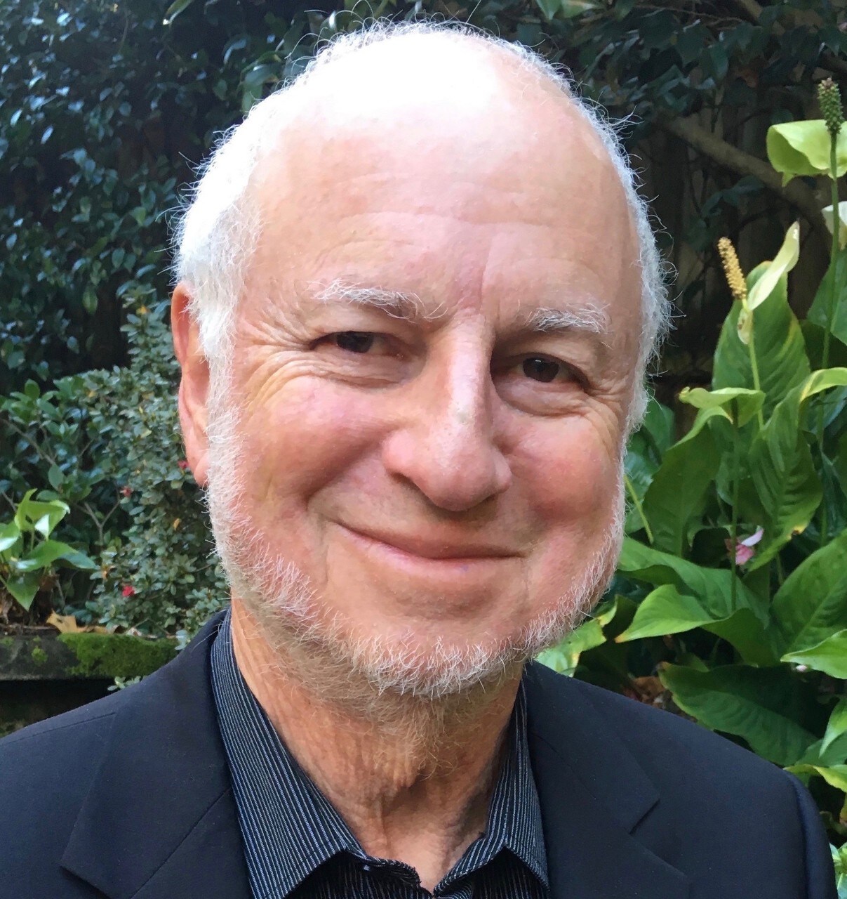 Emeritus Professor Leo Radom
