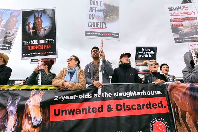 Photo of protestors with banners against horse slaughter